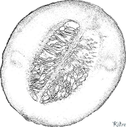 харбуза Саҳифаҳои Рангкунии Чопшаванда